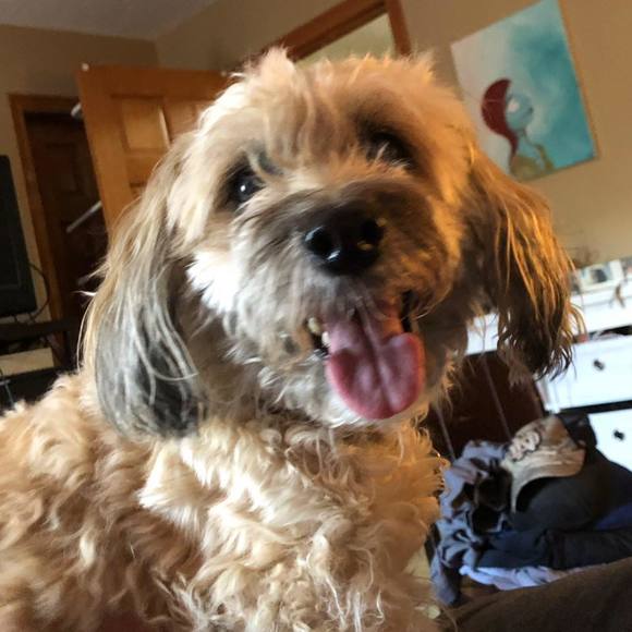 Meet your Posher, Leslie - Picture 1 of 1